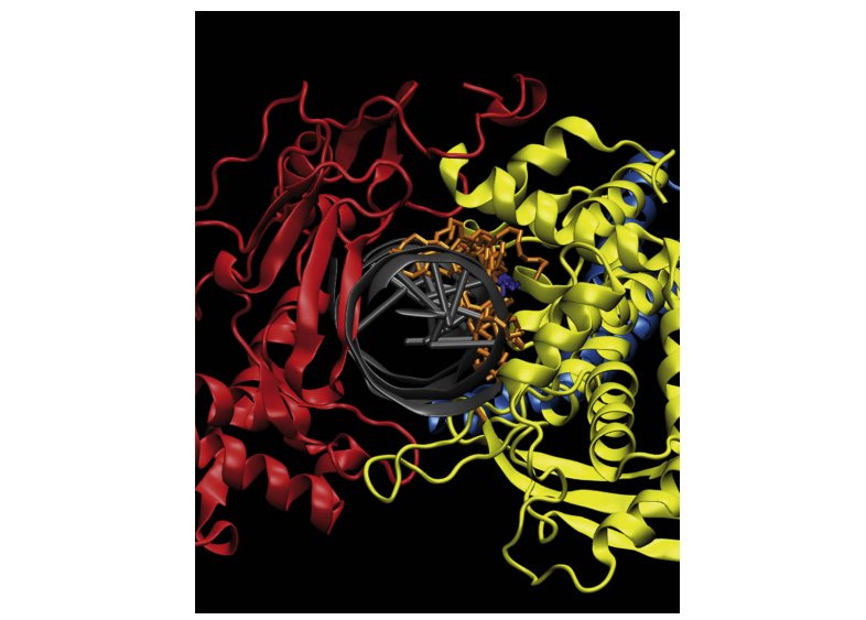 Thumbnail for Conjugated eicosapentaenoic acid inhibits human topoisomerase IB with a mechanism different from camptothecin