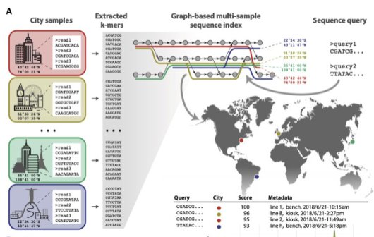 Thumbnail for A global metagenomic map of urban microbiomes and antimicrobial resistance