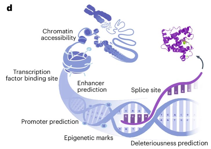 Thumbnail for Nucleotide Transformer: building and evaluating robust foundation models for human genomics