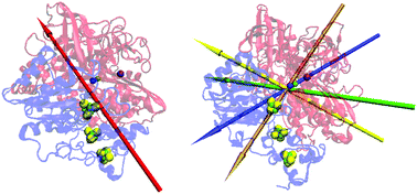 Thumbnail for The weak, fluctuating, dipole moment of membrane-bound hydrogenase from Aquifex aeolicus accounts for its adaptability to charged electrodes